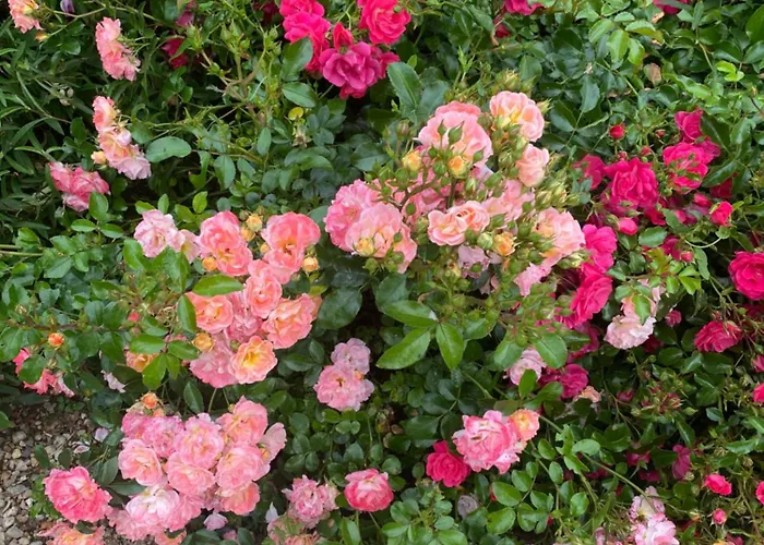 Chateau De Lestang فندق مبيت وإفطار